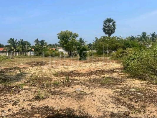 Commercial Land for Sale in Kalpitiya