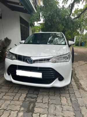 premium-listing-image