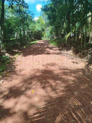Residential Land for Sale in Kadawatha