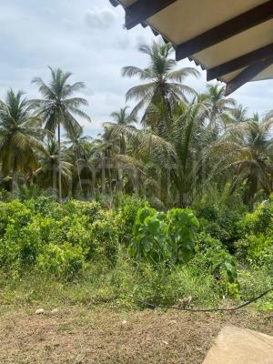 Agricultural Land for Sale in Walasmulla