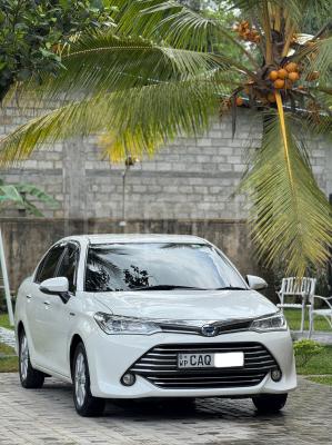 premium-listing-image