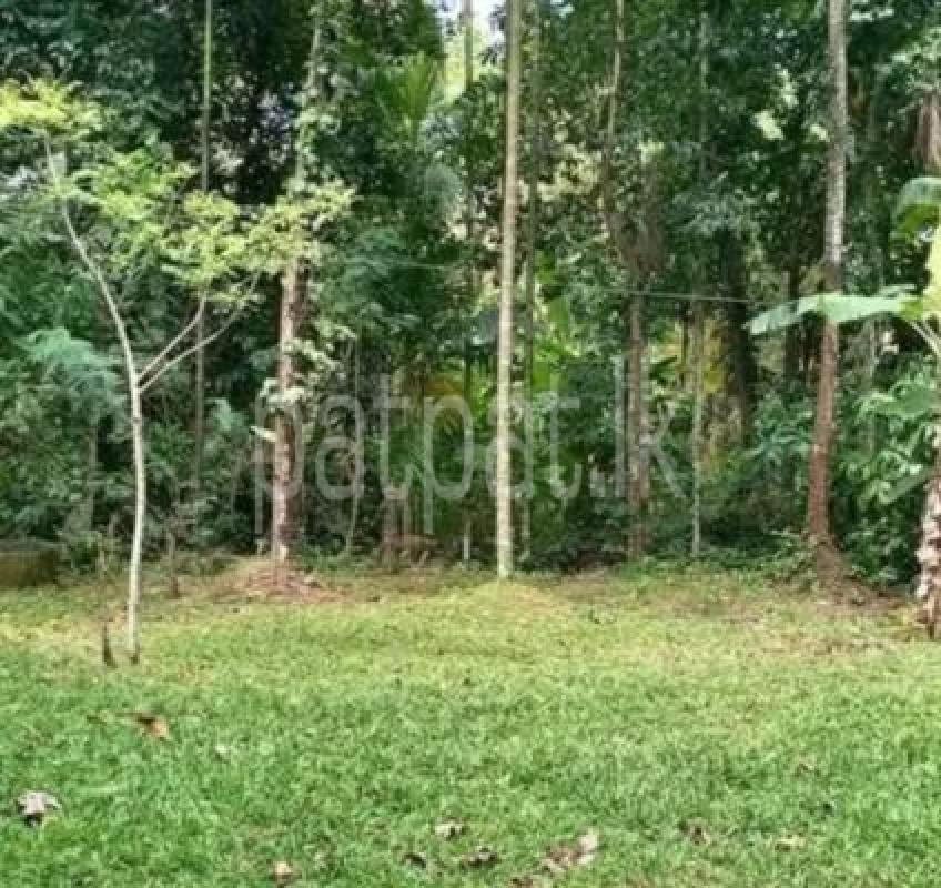 Residential Land for Sale in Mirigama