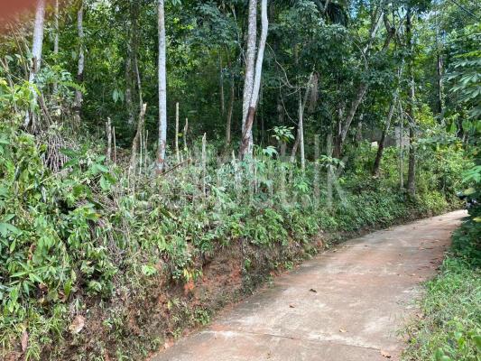 premium-listing-image