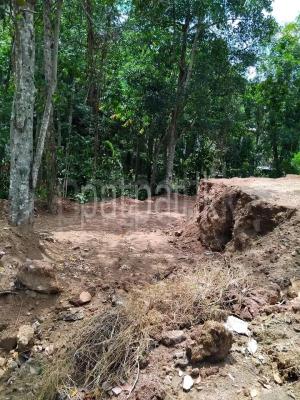 premium-listing-image