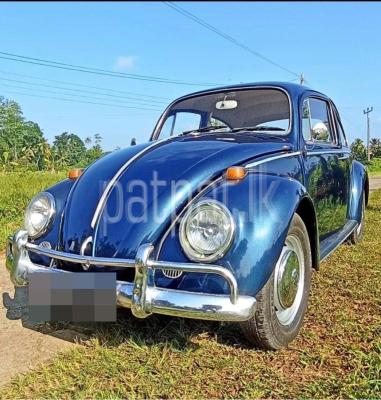 premium-listing-image