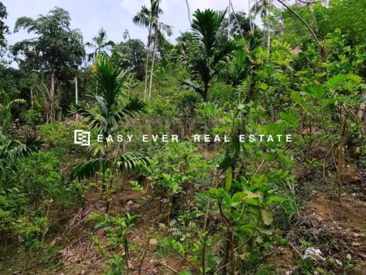 Commercial Land for Sale in Algama