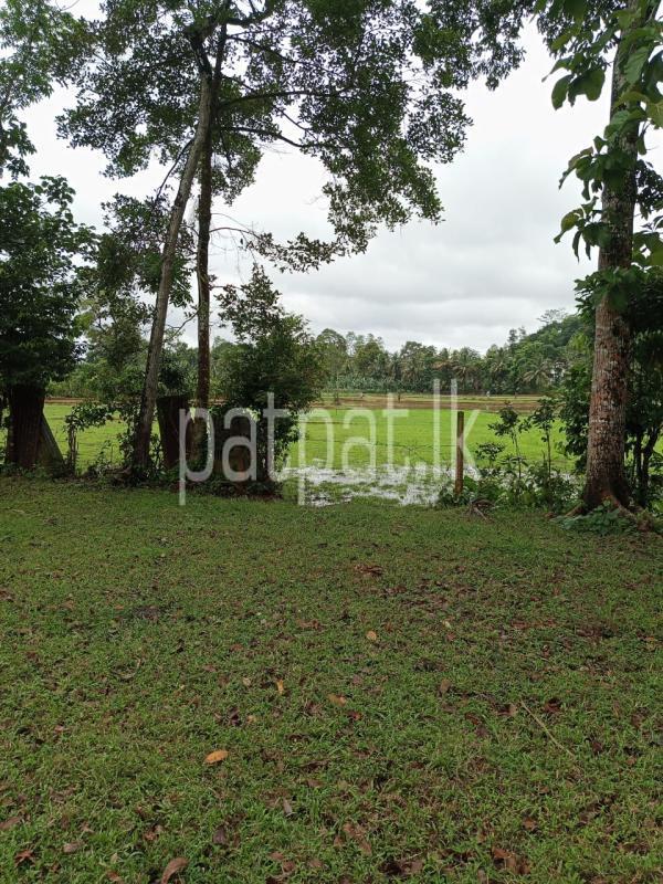 Residential Land for Sale in Baddegama