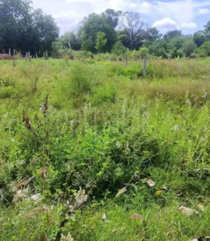 Residential Land for Sale in Anuradhapura