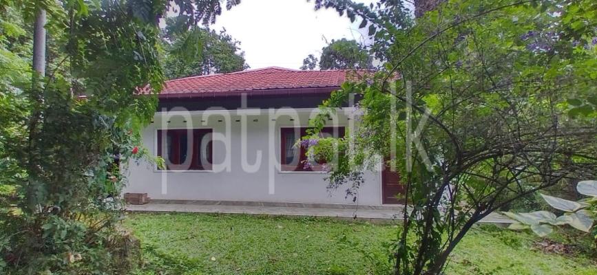 premium-listing-image