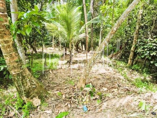 premium-listing-image