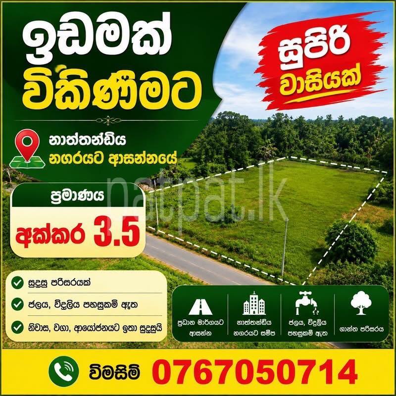 Commercial Land for Sale in Nattandiya