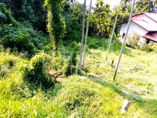 premium-listing-image