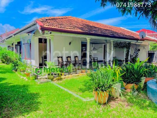 premium-listing-image