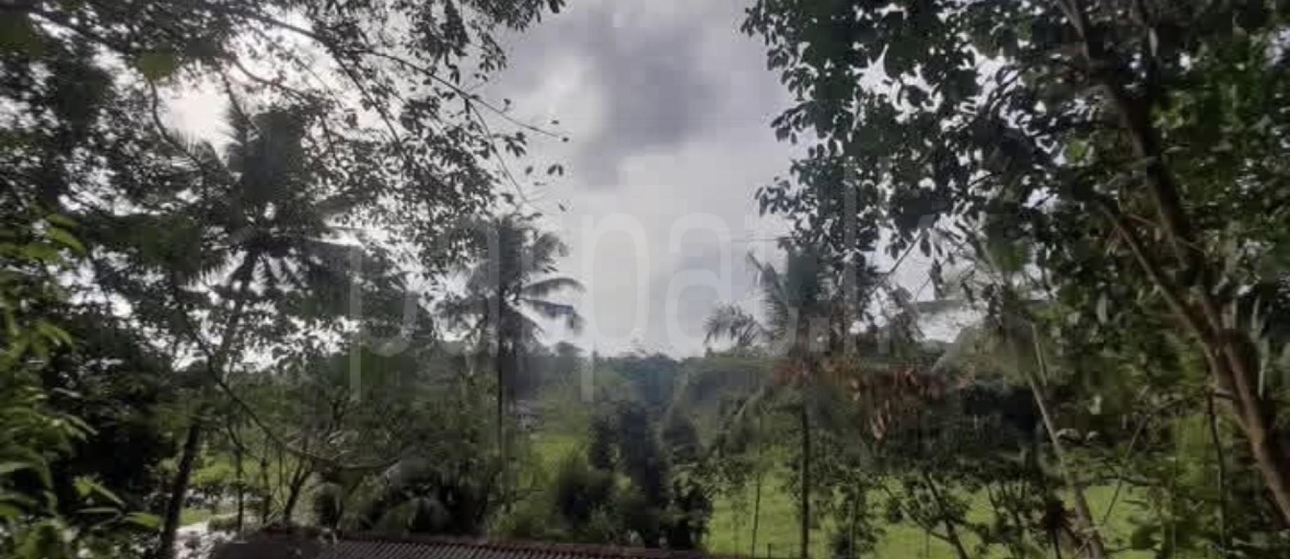 Agricultural Land for Sale in Karapitiya