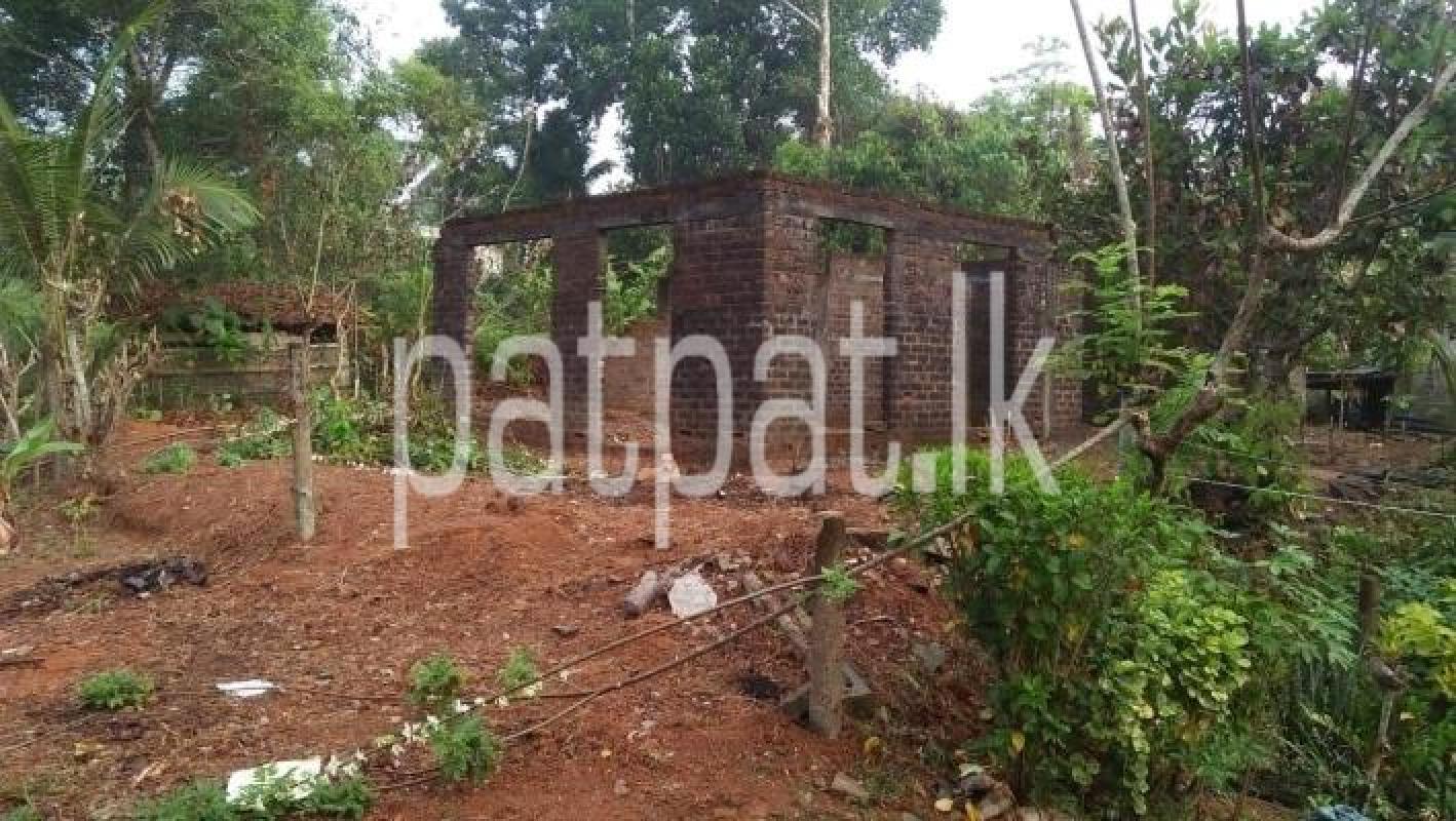 Agricultural Land for Sale in Dodangoda