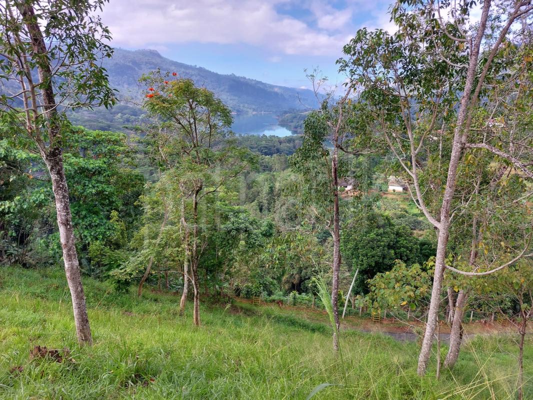 Agricultural Land for Sale in Kotmale