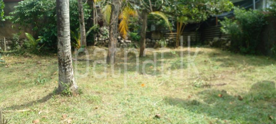 premium-listing-image