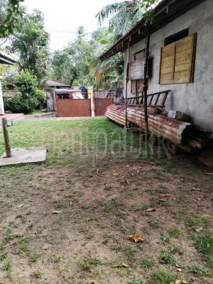 premium-listing-image