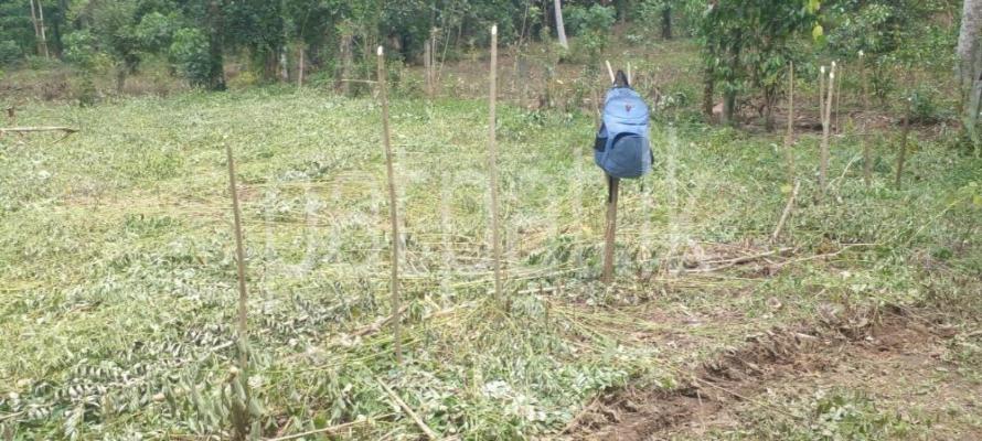 premium-listing-image