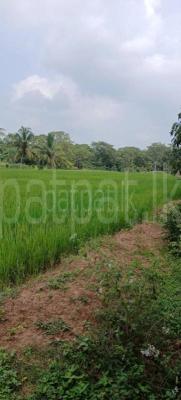Residential Land for Sale in Sella Kataragama