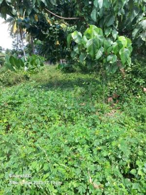 Commercial Land for Sale in Meegoda