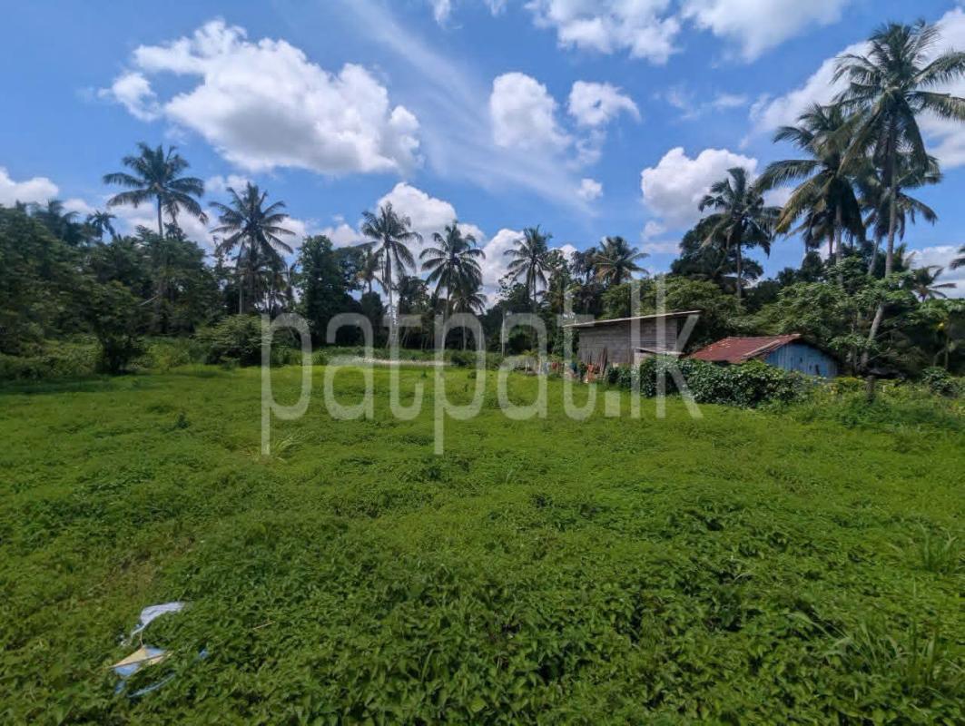 Residential Land for Sale in Divulapitiya