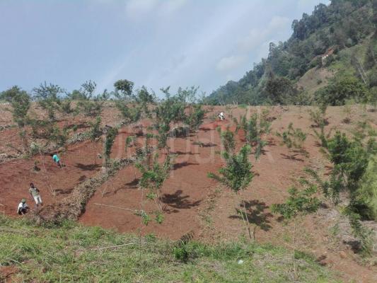 Commercial Land for Sale in Haputale
