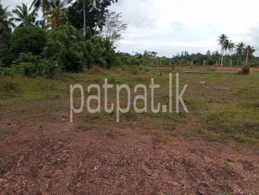 premium-listing-image