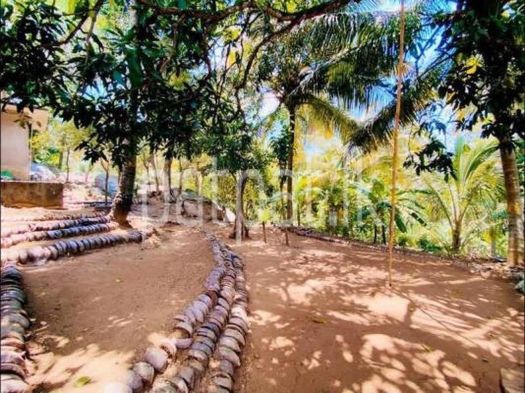 Commercial Land for Sale in Digana