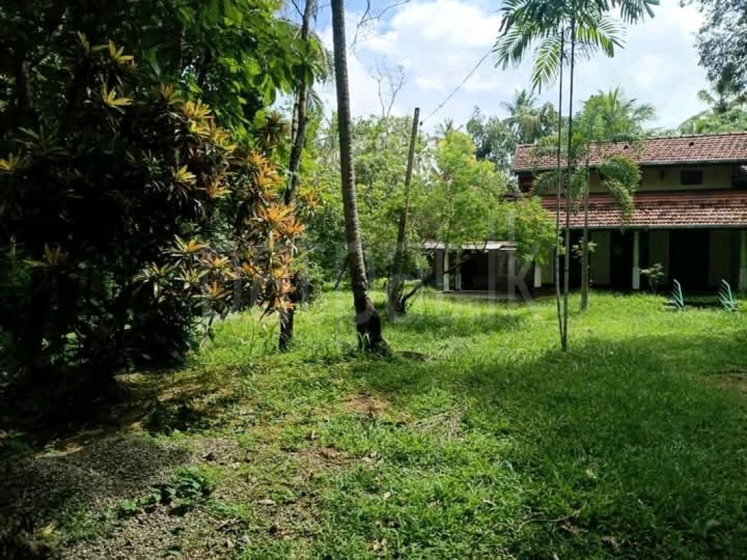 Commercial Land for Sale in Narammala