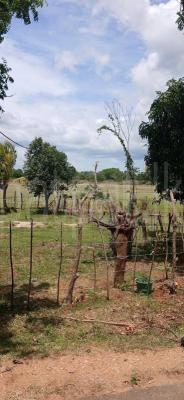 premium-listing-image