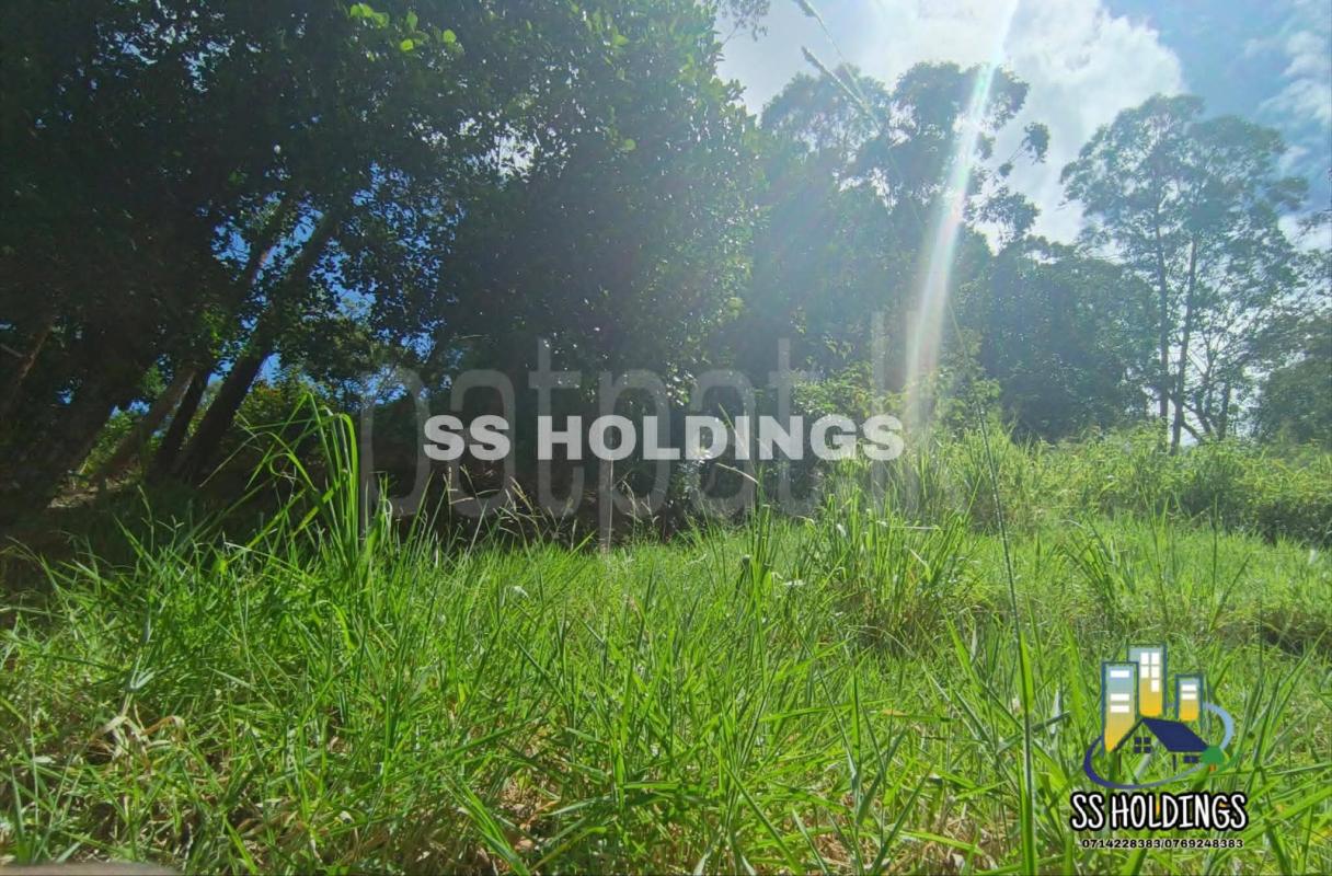 Commercial Land for Sale in Welimada