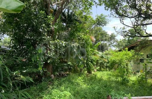Commercial Land for Sale in Ratmalana