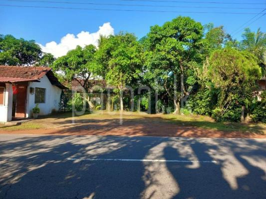 premium-listing-image