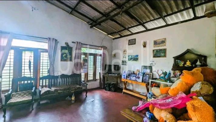 premium-listing-image