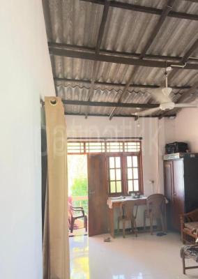 premium-listing-image