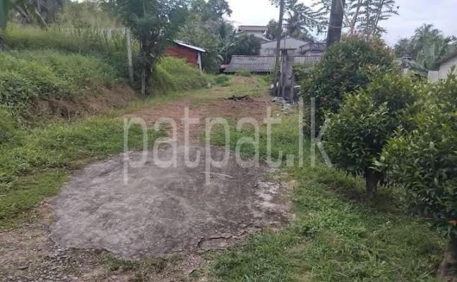 premium-listing-image