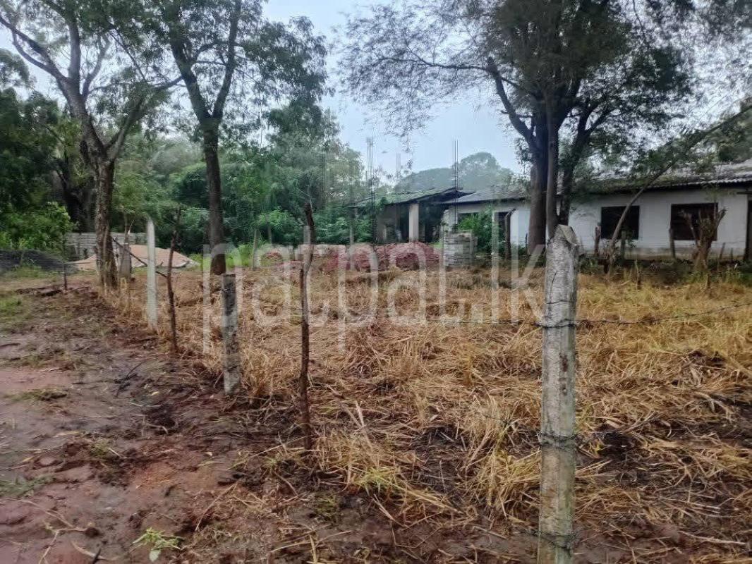 Residential Land for Sale in Tambuttegama