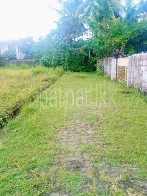 premium-listing-image