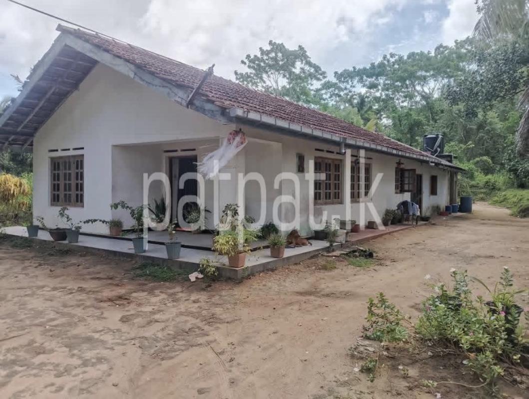 House for Sale in Vitharandeniya