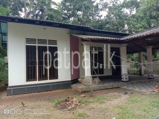 premium-listing-image