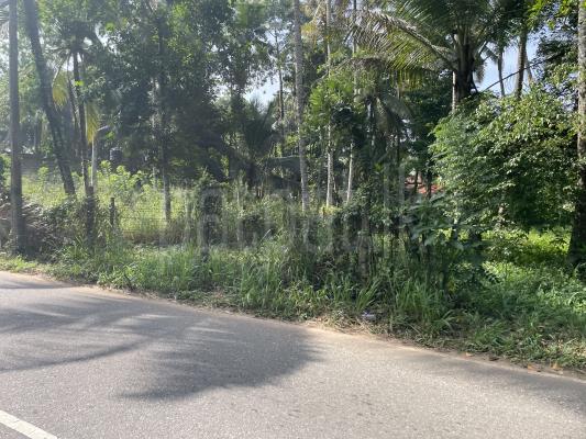 Commercial Land for Sale in Yakkala