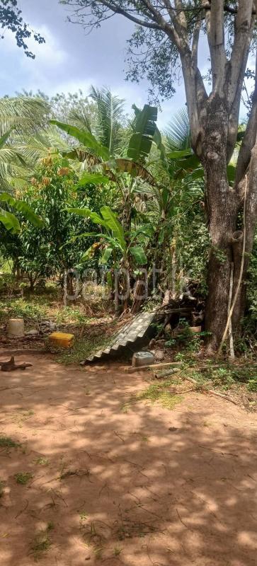 Agricultural Land for Sale in Kataragama