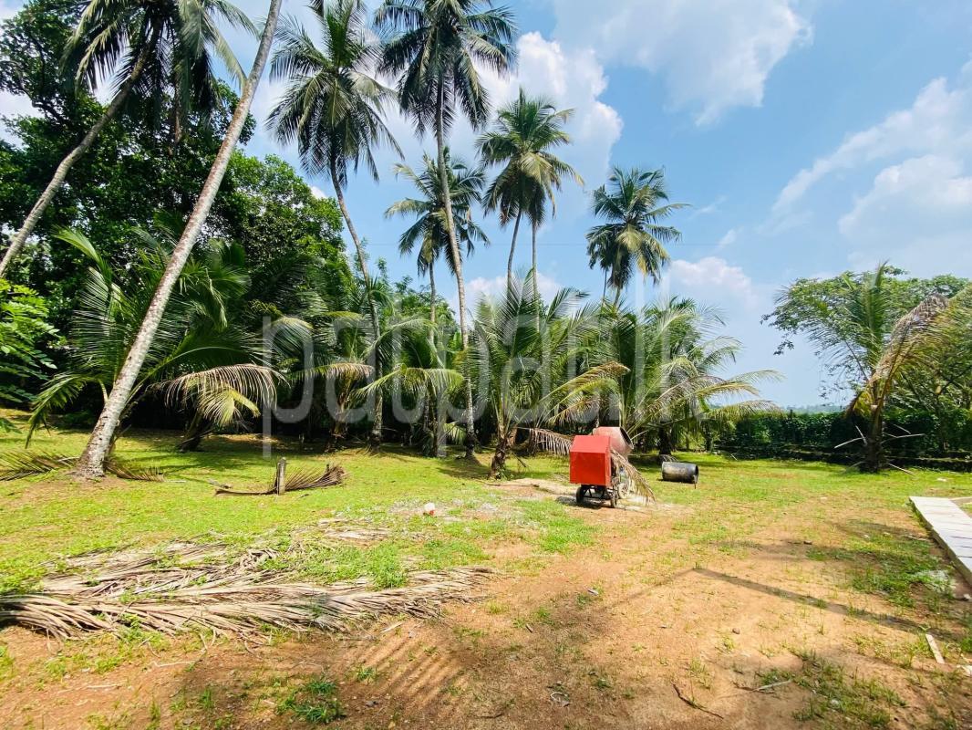 Residential Land for Sale in Weligama