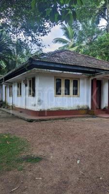 premium-listing-image