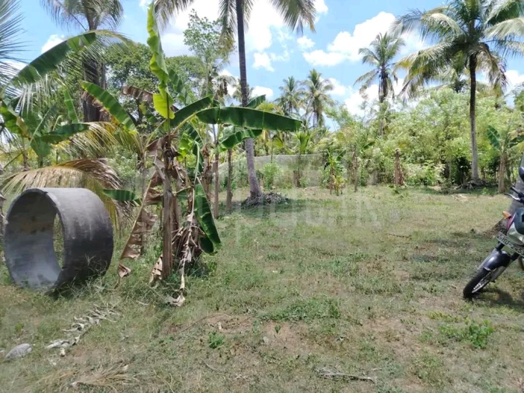 Residential Land for Sale in Dambadeniya