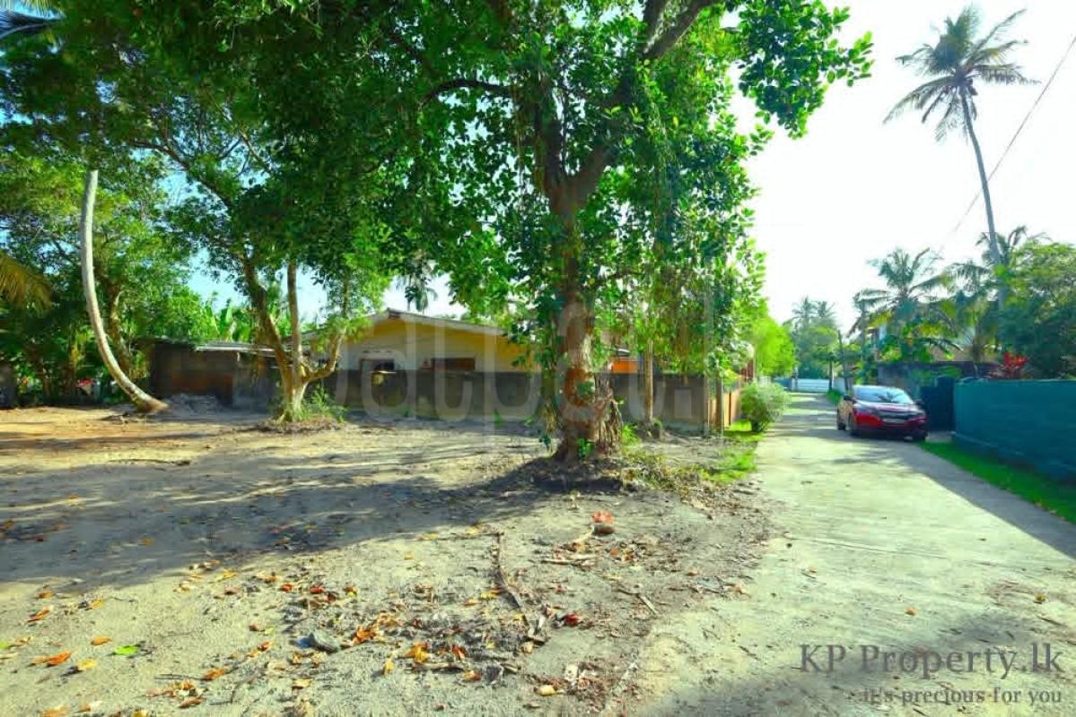 Commercial Land for Sale in Panadura