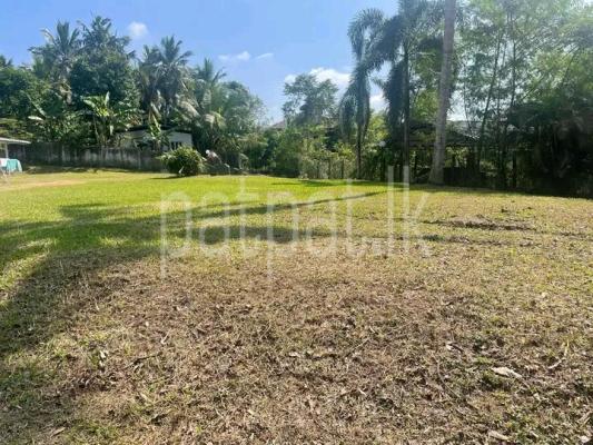 premium-listing-image