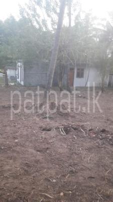 Residential Land for Sale in Dagonna