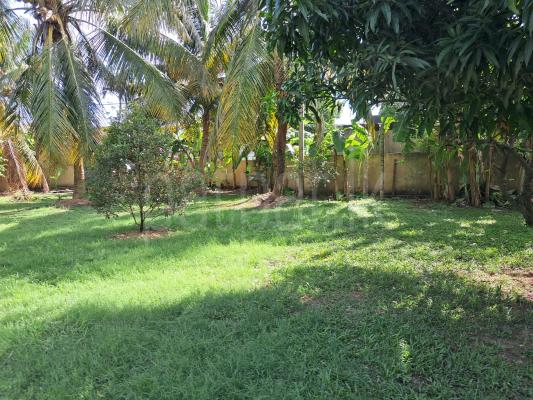 Commercial Land for Sale in Angoda